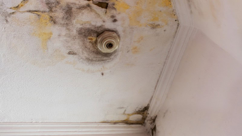 Une maison qui a besoin de l'intervention d'un couvreur