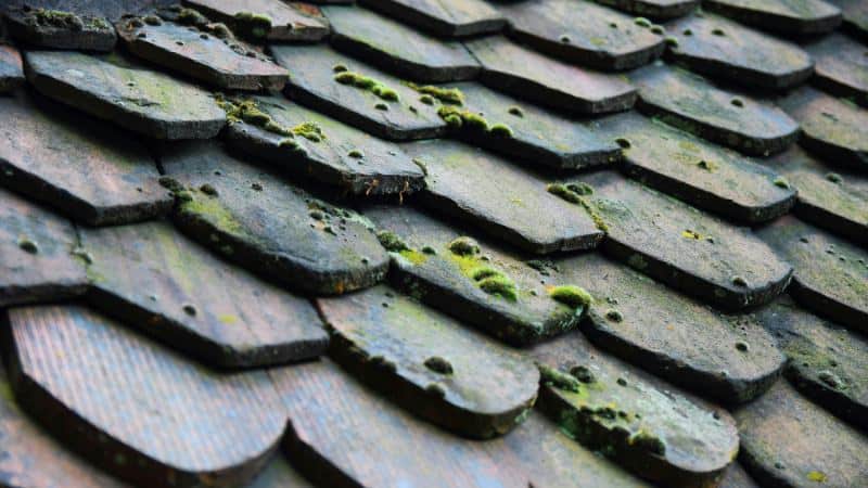 Une toiture ancienne qui doit être remplacée par un couvreur