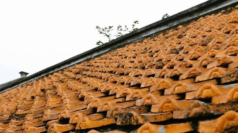 Une toiture en terre cuite qui a besoin d'être rénové à Chaville