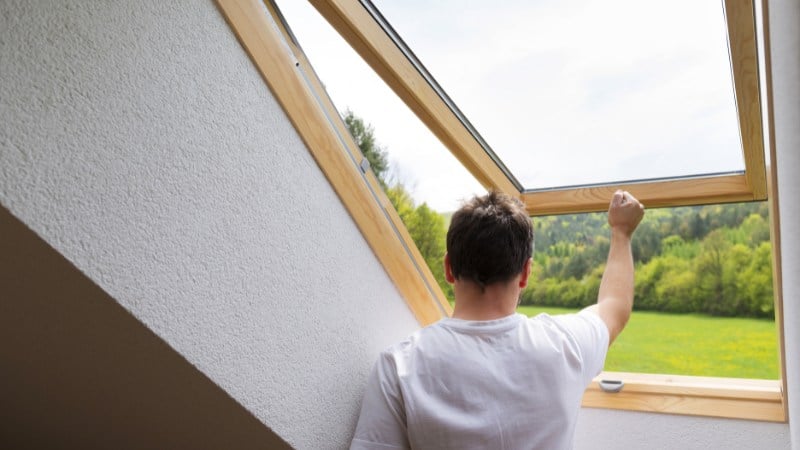 Velux panoramique
